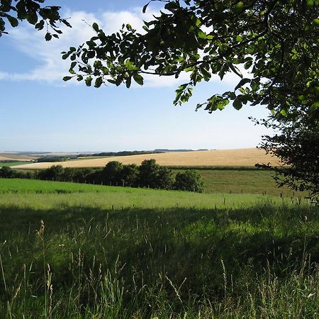 Seggat Farm Holiday Cottages Kirktown of Auchterless Exteriör bild