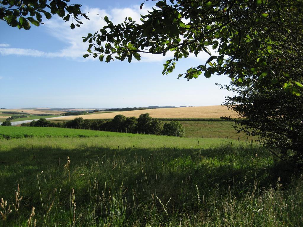 Seggat Farm Holiday Cottages Kirktown of Auchterless Exteriör bild